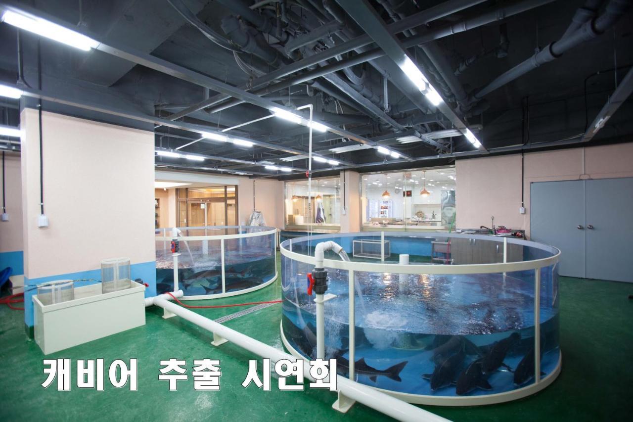 Cheongpyeong Family Hotel Gapyeong Εξωτερικό φωτογραφία